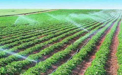 插吧色域骚激情农田高 效节水灌溉
